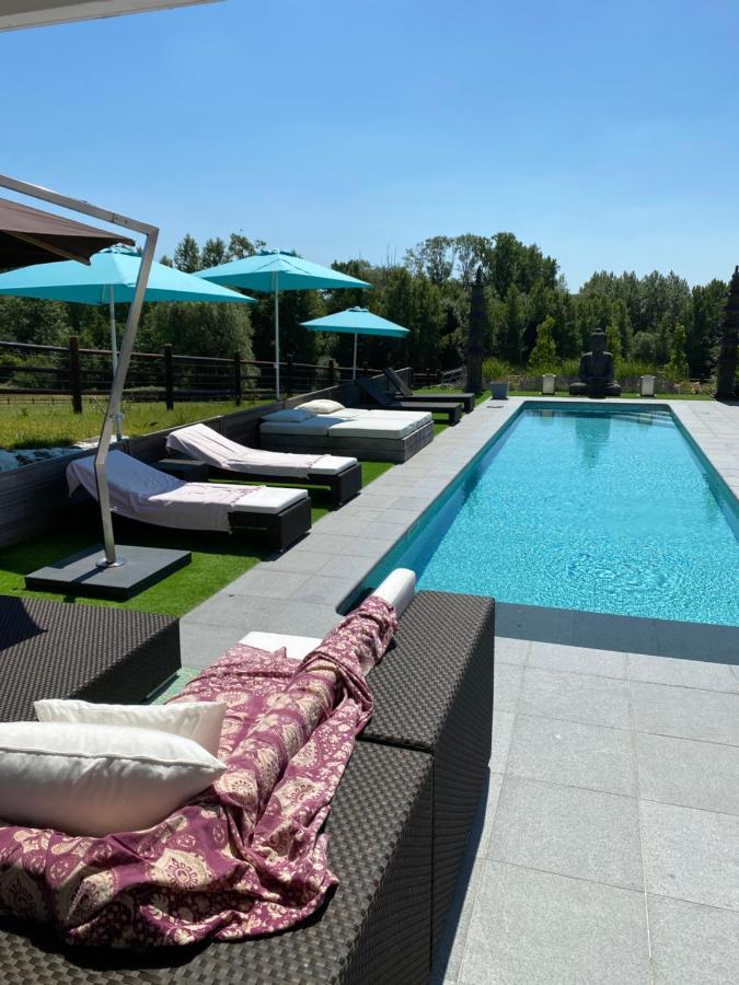 B&B La Douceur De La Miclette Ellezelles Exteriér fotografie